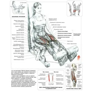 Тренажер для згин. / розгин. м'язів стегна (комбінований) InterAtletikGym ST111 - фото 78511
