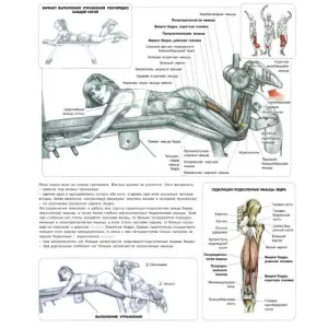 Тренажер для згин. / розгин. м'язів стегна (комбінований) InterAtletikGym ST111 - фото 78512