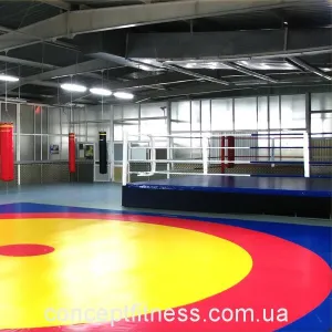 Мат борцівський 6 х 6 м товщиною 4 см - фото 1