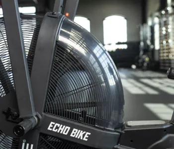 Велотренажер Rogue Echo Bike V3 - фото 36589