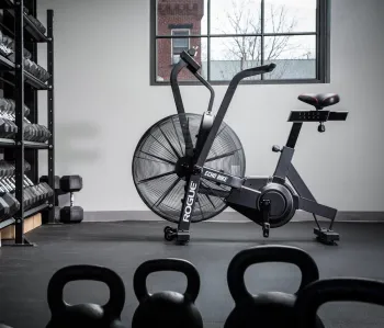 Велотренажер Rogue Echo Bike V3 - фото 36592
