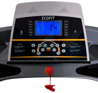 Бігова доріжка Ecofit E-MB9 - фото 91471