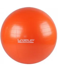 Фітбол LiveUp GYM BALL 55 см LS3221-55o - фото 