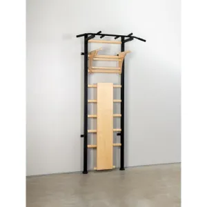 Шведська стінка Ladas СТ Power Wood - фото 