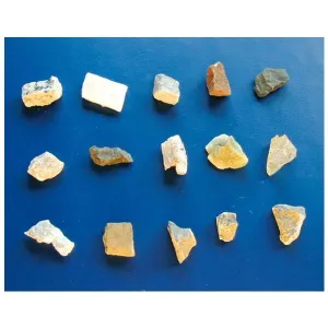 Мікроскоп Bresser Junior Stereo 20x - фото 55555