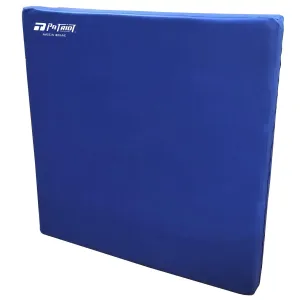 Mat Gymnastic Patriot Kervinil 100x100x5 см - фото 