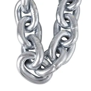 Griffin Insportline Chainbos 30 кг (17343) Навчальна мережа - фото 72879