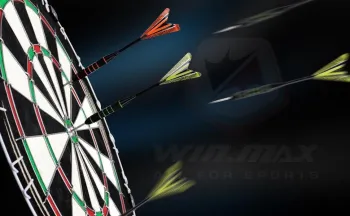 Дартс професійний із сизалю WinMax Match Play G491 45cм 6 дротиків - фото 75802