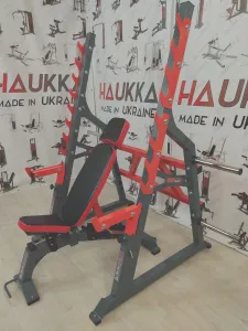 Встановіть Stelling та Haukka NS514W Line Line Line - фото 76266