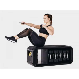 Лава Technogym Bench Skillbench - фото 77646