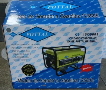 Бензиновий генератор Pottal PLG12500E - фото 78743