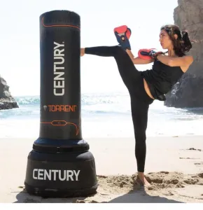 Боксерський мішок CENTURY TORRENT T1 - фото 82169