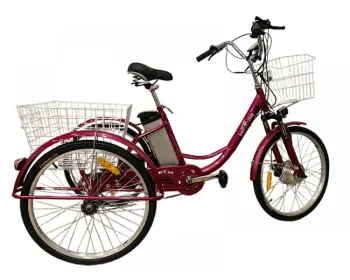 Електровелосипед дорожній Kelb.Bike 26 350W PAS 00258258 - фото 