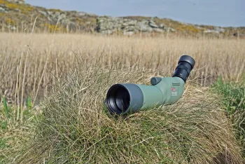 Підзорна труба Kowa TSN-601 60 mm Angled (10016) - фото 85007