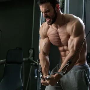Ручка York Fitness для тяги з гумовою рукояткою, хром Y-36166 - фото 85600