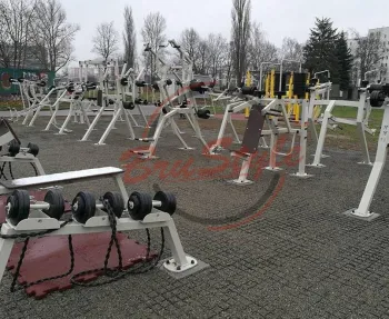 Гантельний ряд: 2*20 кг/2*25 кг/2*30 кг SG611 - фото 86823