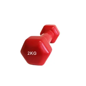 Гантель аеробна вінілова Fitnessport VDD-01-2кг червоний - фото 87676