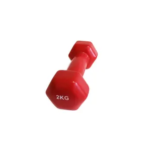 Гантель аеробна вінілова Fitnessport VDD-01-2кг червоний - фото 