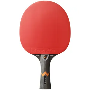 Ракетка для настільного тенісу Stiga Royal WRB 3 Star FL (1213-2818-01) - фото 94541