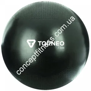 Гімнастичний м'яч Torneo A-210 - фото 