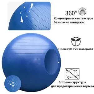 М'яч для фітнесу (фітбол) WCG 65 Anti-Burst 300кг Блакитний + насос (W-000-65b) - фото 97442