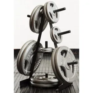 Стійка для дисків Toorx Rack 25 mm (RPD-25) - фото 98681