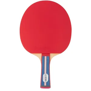 Ракетка для настільного тенісу Gewo Standard Pro FL (600300001) - фото 
