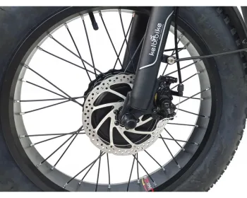 Електровелосипед фетбайк алюмінієвий триколісний Kelb.Bike 20" 750W 48V15AH (750W Alloy) - фото 15