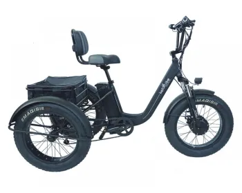 Електровелосипед фетбайк алюмінієвий триколісний Kelb.Bike 20" 750W 48V15AH (750W Alloy) - фото 18
