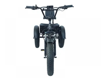 Електровелосипед фетбайк сталевий триколісний Kelb.Bike 20" 1000w 48V20AH - фото 103165