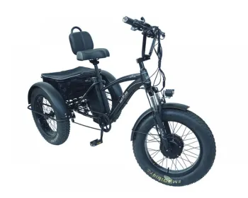Електровелосипед фетбайк сталевий триколісний Kelb.Bike 20" 1000w 48V20AH - фото 103166