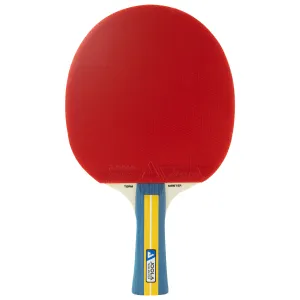 Набір для настільного тенісу Joola Team Master Pro 2 Bats 3 Balls (52001-1) - фото 107091