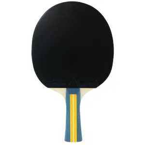 Набір для настільного тенісу Joola Team Master Pro 2 Bats 3 Balls (52001-1) - фото 107092
