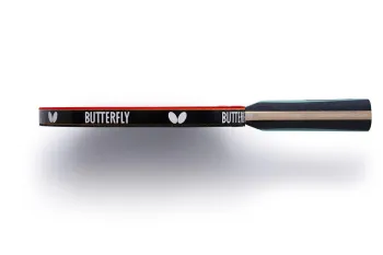 Набір для настільного тенісу Team Butterfly Advance FL x2 6256900002-1 - фото 111739