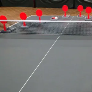 Тренувальний набір для настільного тенісу Gewo Flip-Paddle Set (109180000) - фото 111770