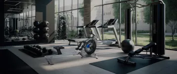 Гребний тренажер First Degree Fluid Rower Evolution E350 Silver Bronze - фото 112703