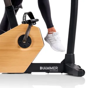 Велоергометр Hammer Maximum Spheris 4.0 NorsK - фото 112964