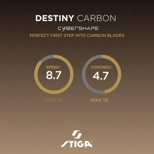 Основа для ракетки Stiga Destiny Carbon Cybershape Master (1600-2602-35) - фото 113413