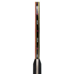 Набір для настільного тенісу Butterfly Easy 2 Bats 3 Balls (6257623202) - фото 114597