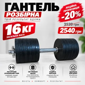 Гантель набірна обгумована RN-Sport 16 кг (RN42-12) - фото 