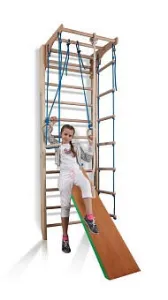 Спортивний куточок Sportbaby Комбі 3-240 - фото 