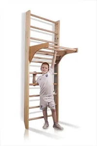Спортивний куточок Sportbaby Комбі 3-220 - фото 94041