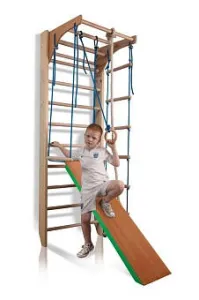 Спортивний куточок Sportbaby Комбі 3-220 - фото 