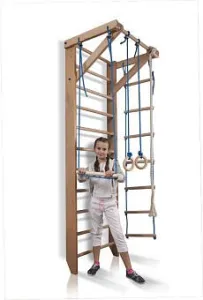 Дитячий спортивний куточок Sportbaby Sport 2-240 - фото 