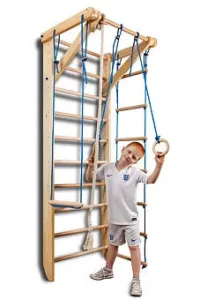 Дитячий спортивний куточок Sportbaby Sport 2-220 - фото 
