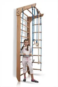 Спортивний куточок Sportbaby Bambino 2-240 - фото 