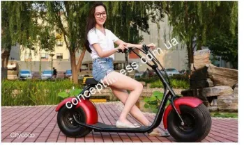Електроскутер Seev Citycoco EB-058 - фото 17306
